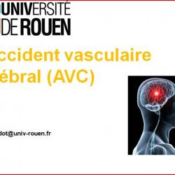 avc.jpg