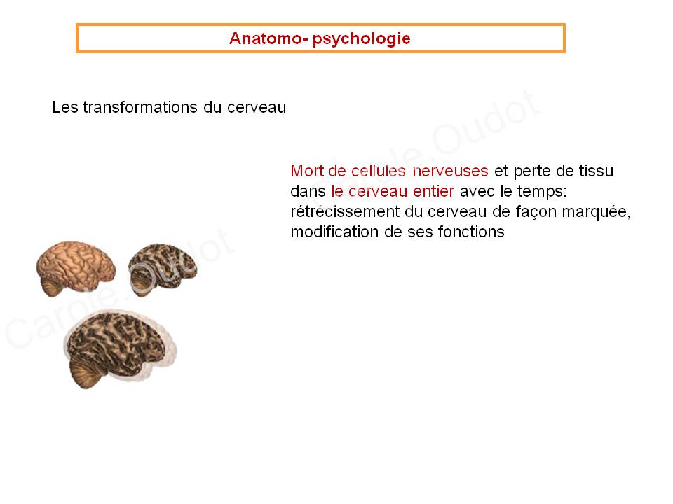 Diapositive18 9
