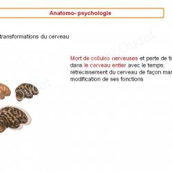 Diapositive18 9