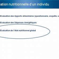 Diapositive2 10