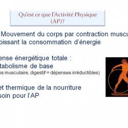 Diapositive2 6