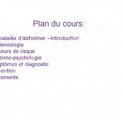 Diapositive2 8