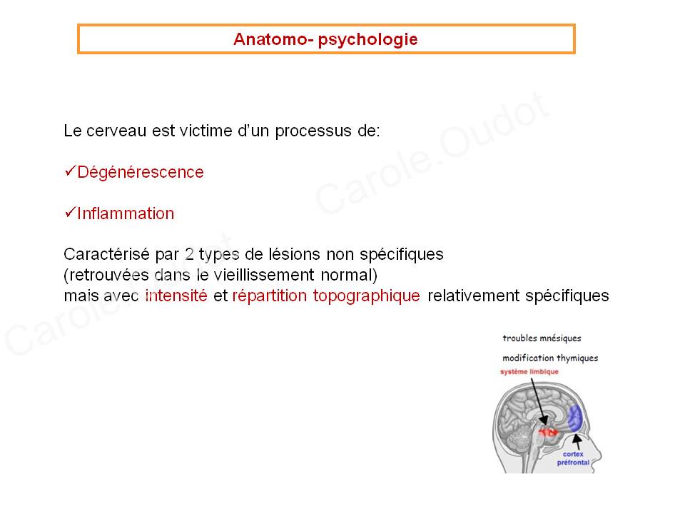 Diapositive20 9