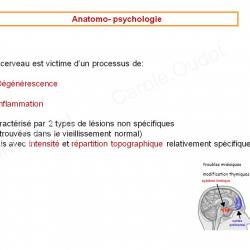Diapositive20 9