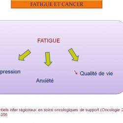 Diapositive21 5