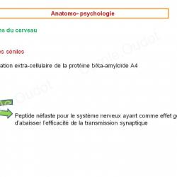 Diapositive21 9