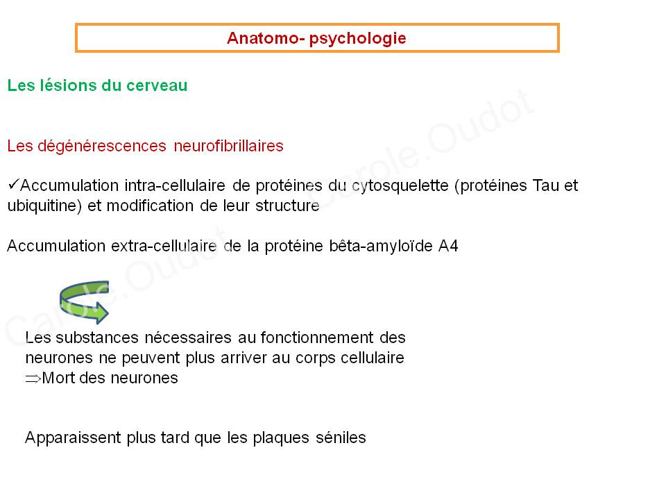 Diapositive22 9