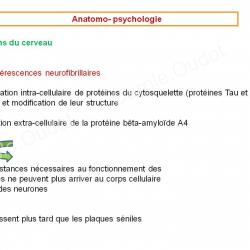 Diapositive22 9