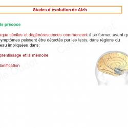 Diapositive26 9