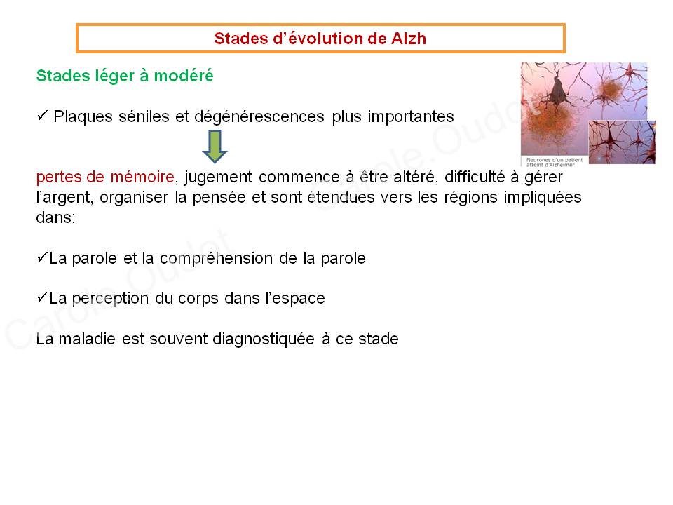 Diapositive27 9