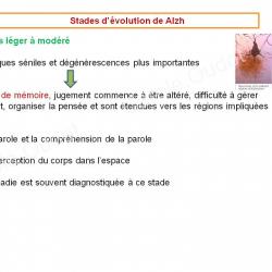 Diapositive27 9