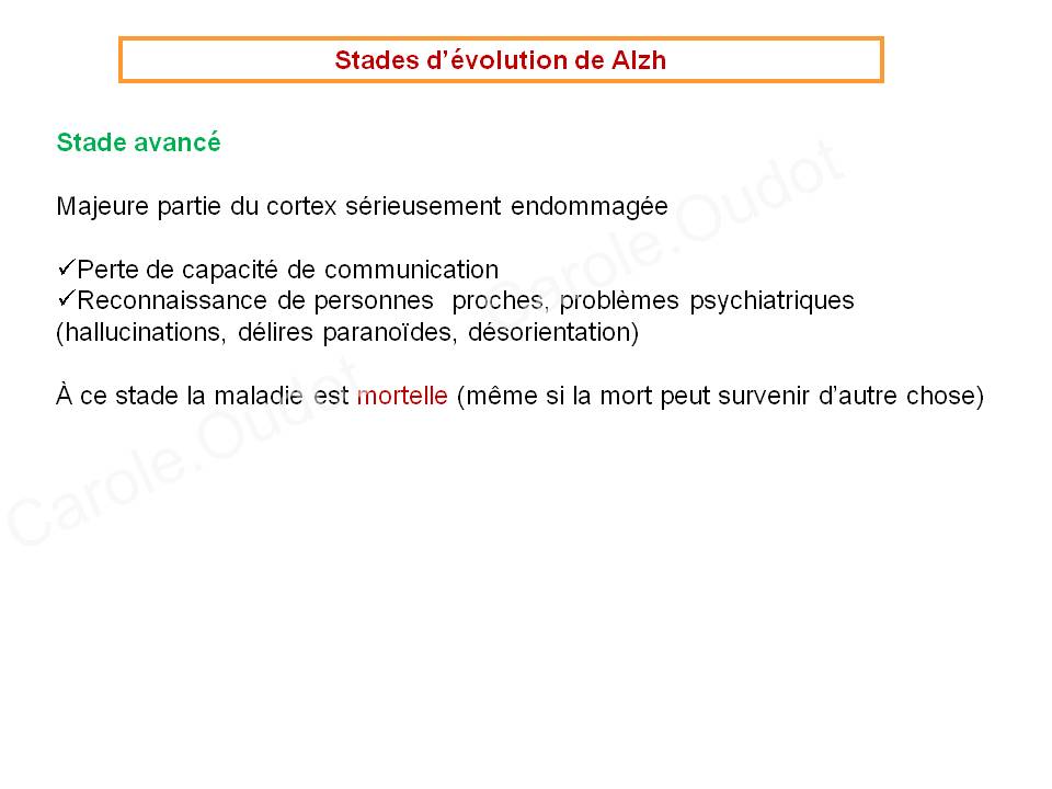 Diapositive28 9