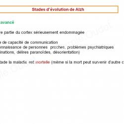 Diapositive28 9