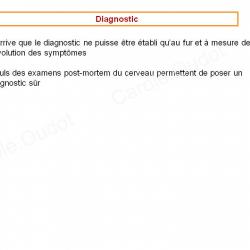 Diapositive34 9