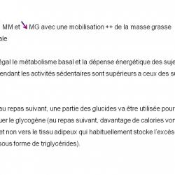 Diapositive39 12