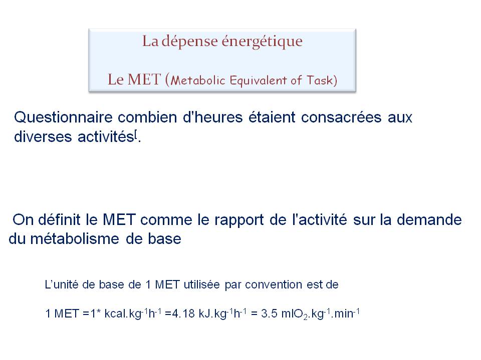 Diapositive4 5