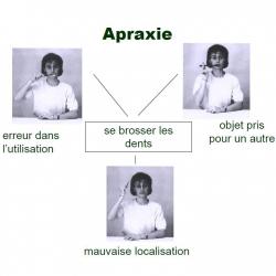 Diapositive41 9