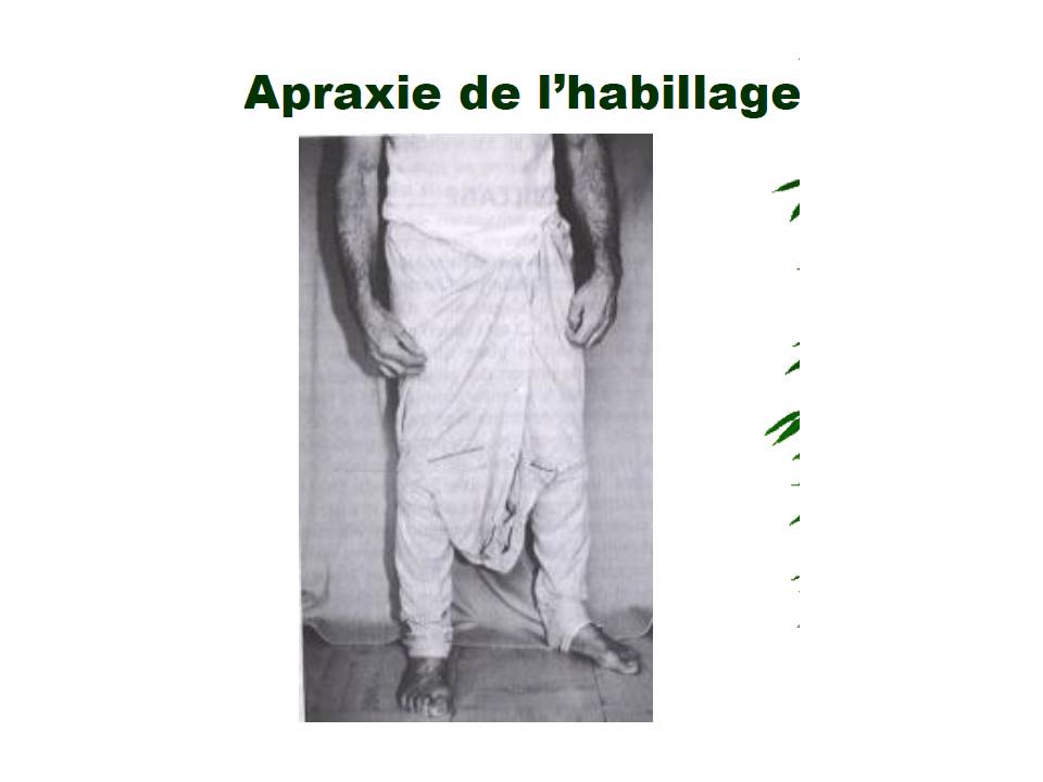 Diapositive42 9