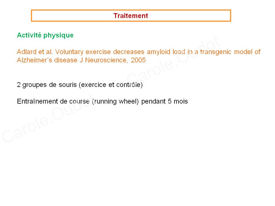 Diapositive53 9