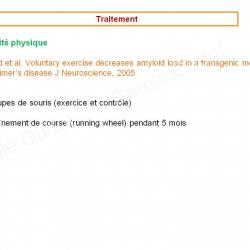 Diapositive53 9