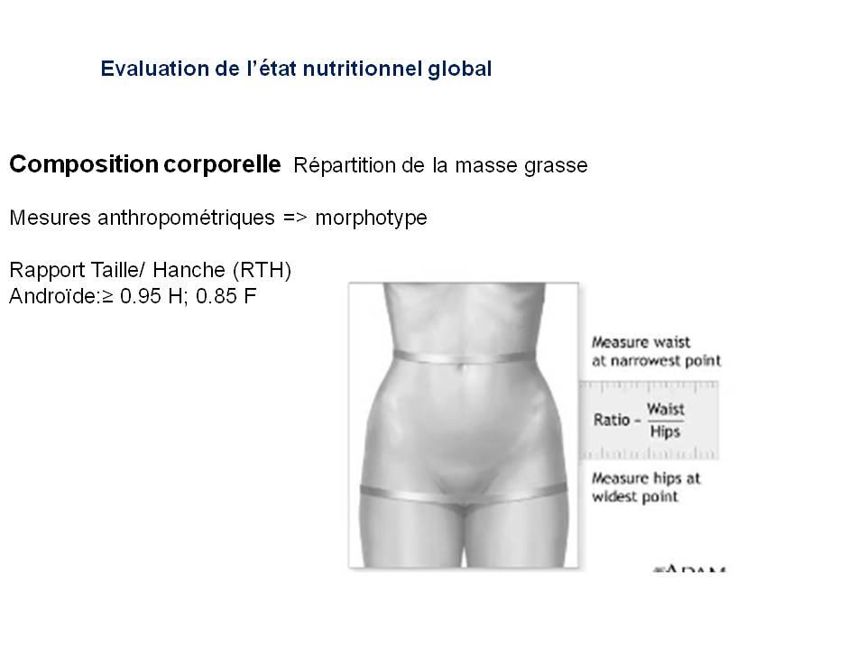 Diapositive7 12