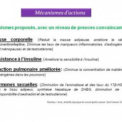 Diapositive83 5