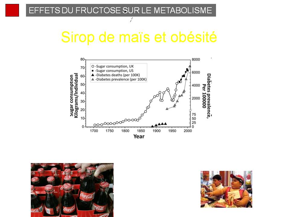 Diapositive86 1