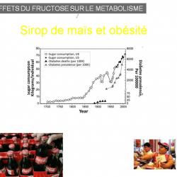 Diapositive86 1