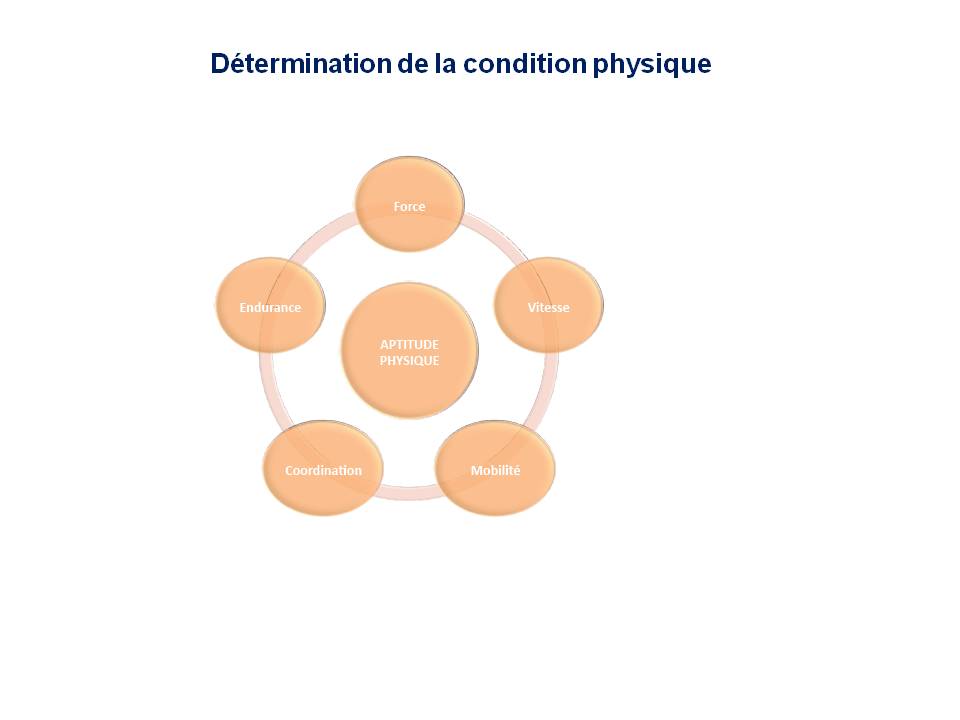 Diapositive94 6
