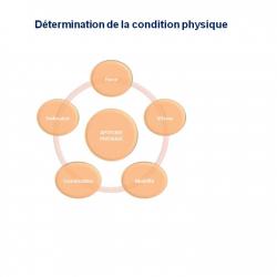 Diapositive94 6