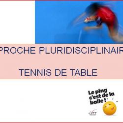 ping.jpg